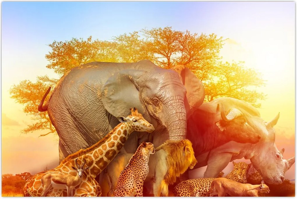 Tablou - Animale africane (90x60 cm)