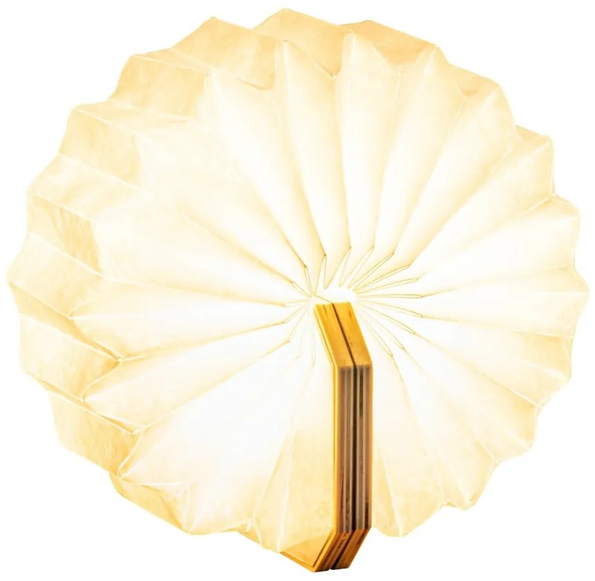 Decorațiune luminoasă în culoare naturală cu USB Accordion – Gingko