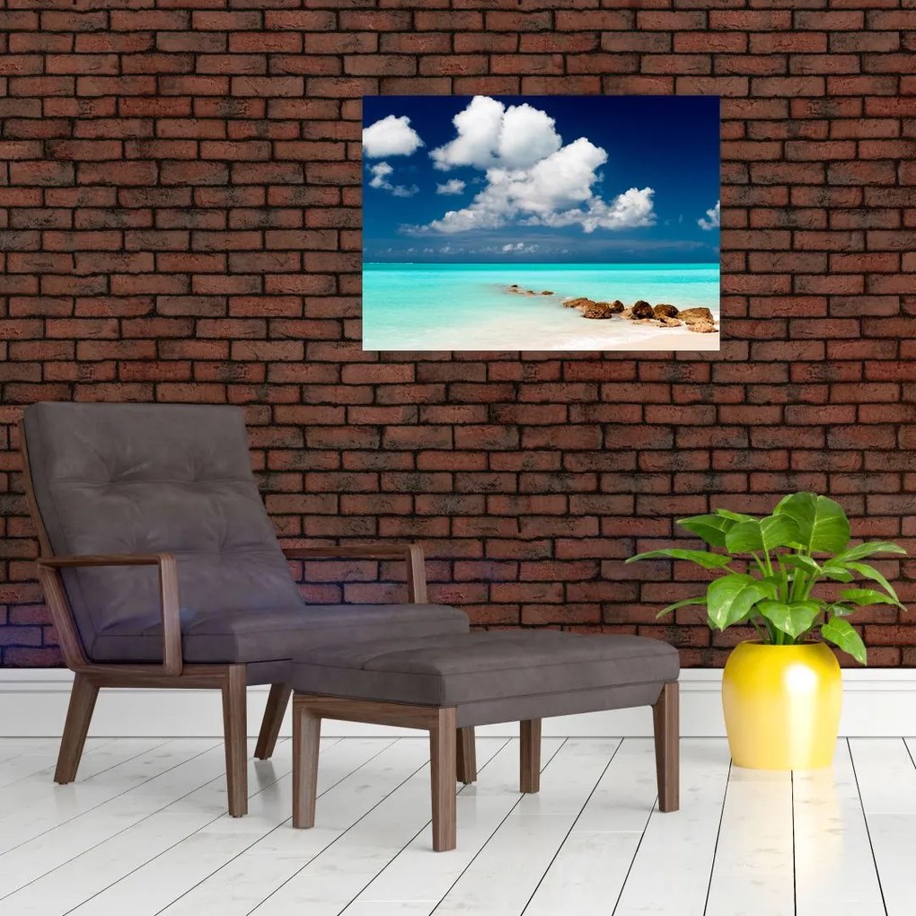 Tablou cu mare (70x50 cm)
