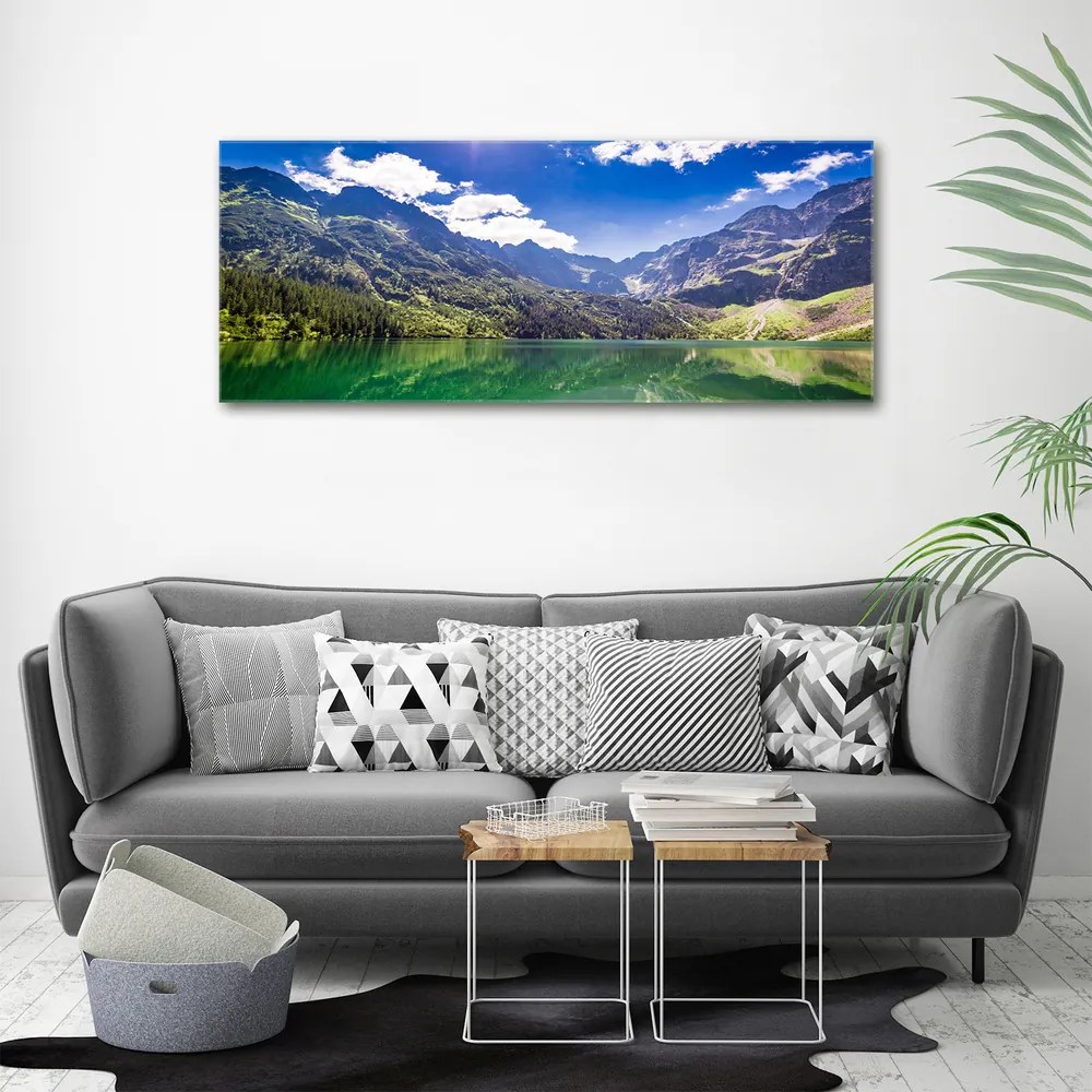 Tablou canvas Marine ochi tatry