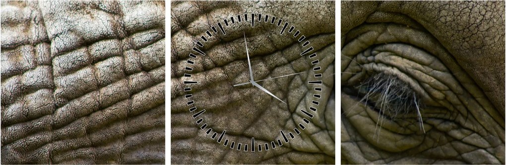 Tablou - Prim-planul ochiului de elefant vechi (cu ceas) (90x30 cm)