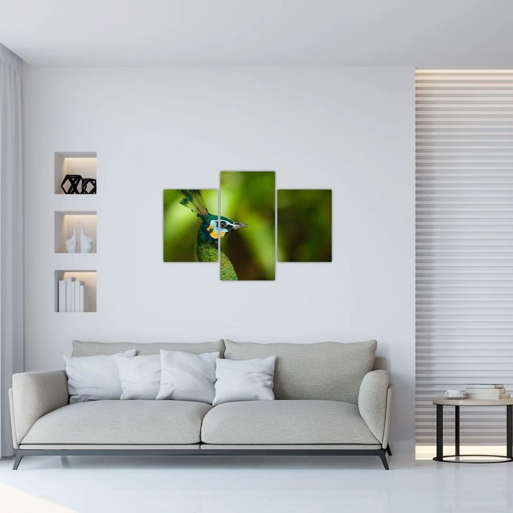 Tablou cu păun (90x60 cm)