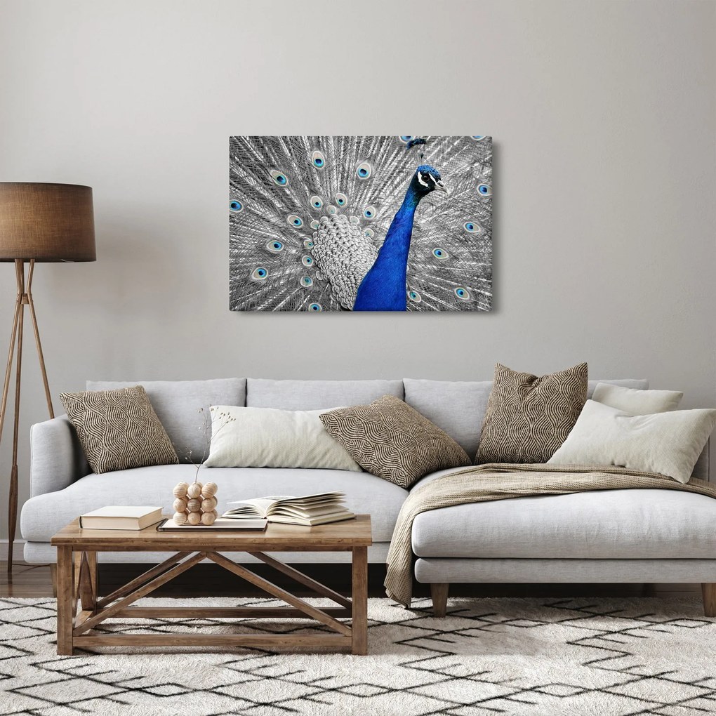Tablou - păun albastru (90x60 cm)