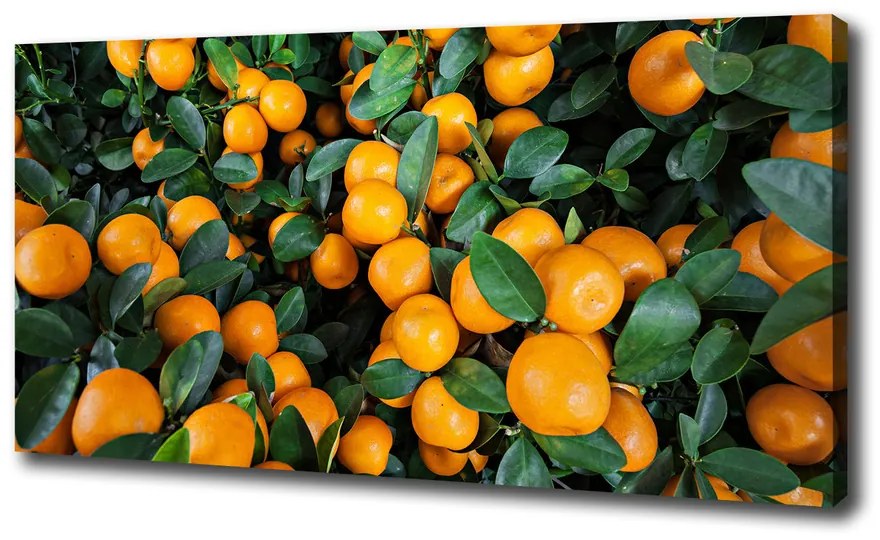 Tablouri tipărite pe pânză Mandarine