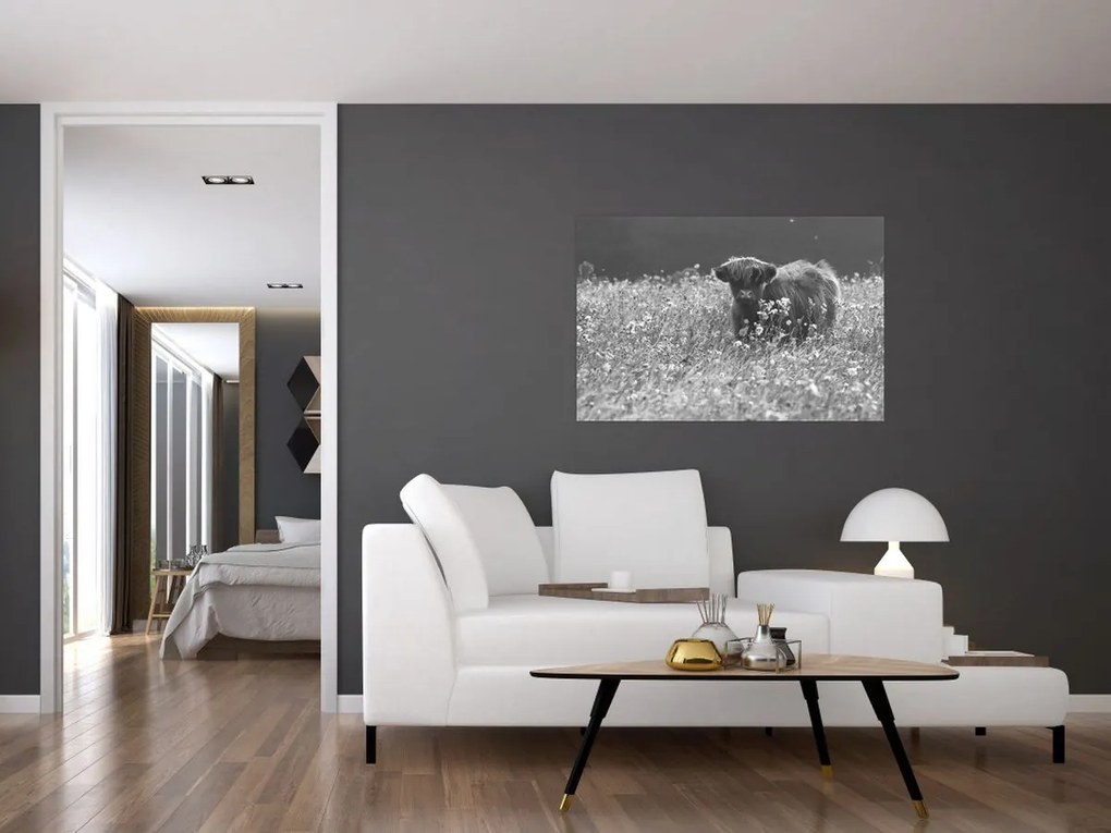 Tablou - Vacă scoțiană 5,alb-negru (90x60 cm)