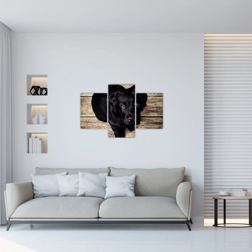 Tablou cu cățeluș negru (90x60 cm)