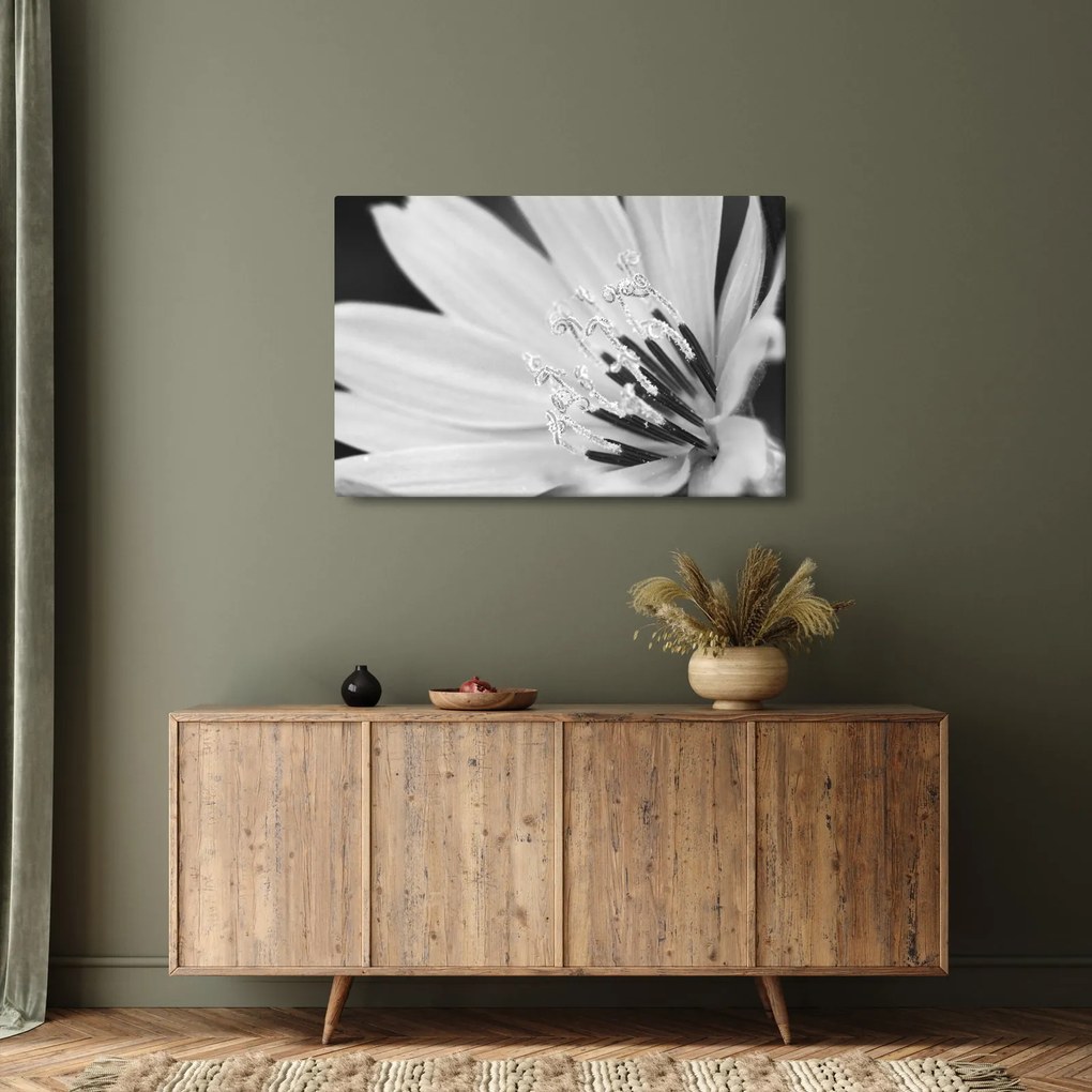Tablou - Floare albă și neagră (90x60 cm)