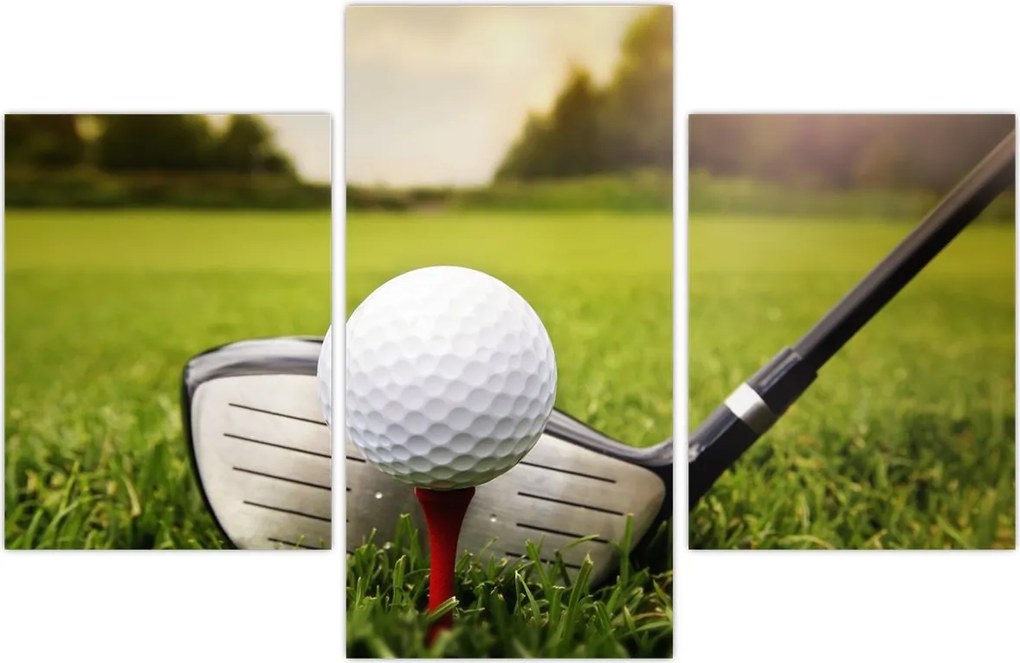 Tablou - Golf (90x60 cm)