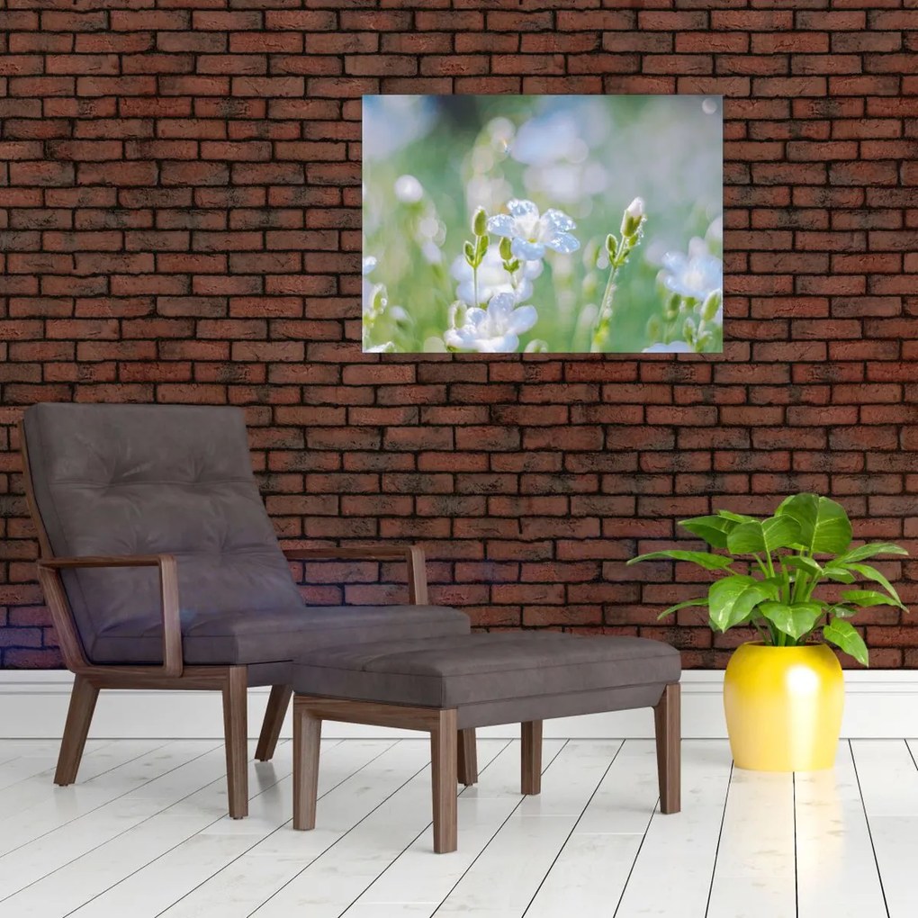 Tablou pe sticlă - Flori delicate (70x50 cm)