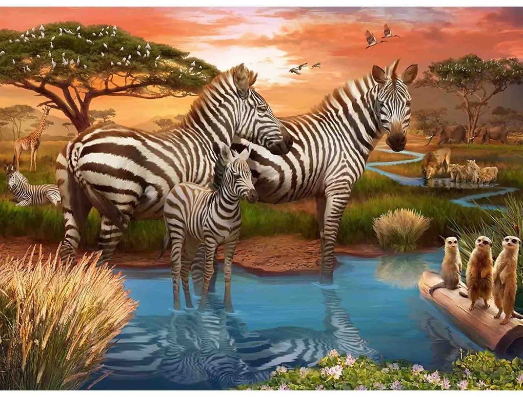 PUZZLE ZEBRE LA APA, 500 PIESE - RAVENSBURGER (RVSPA17376)