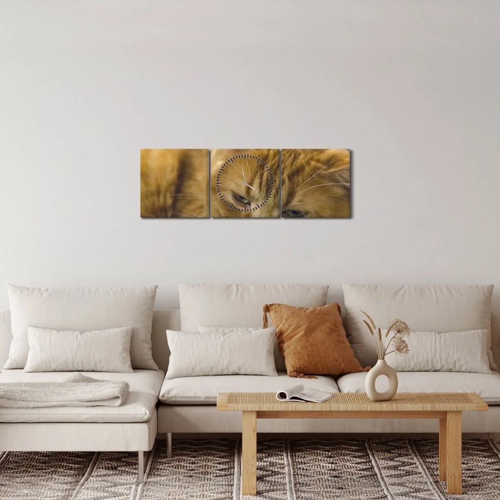 Tabloul pisicii (cu ceas) (90x30 cm)