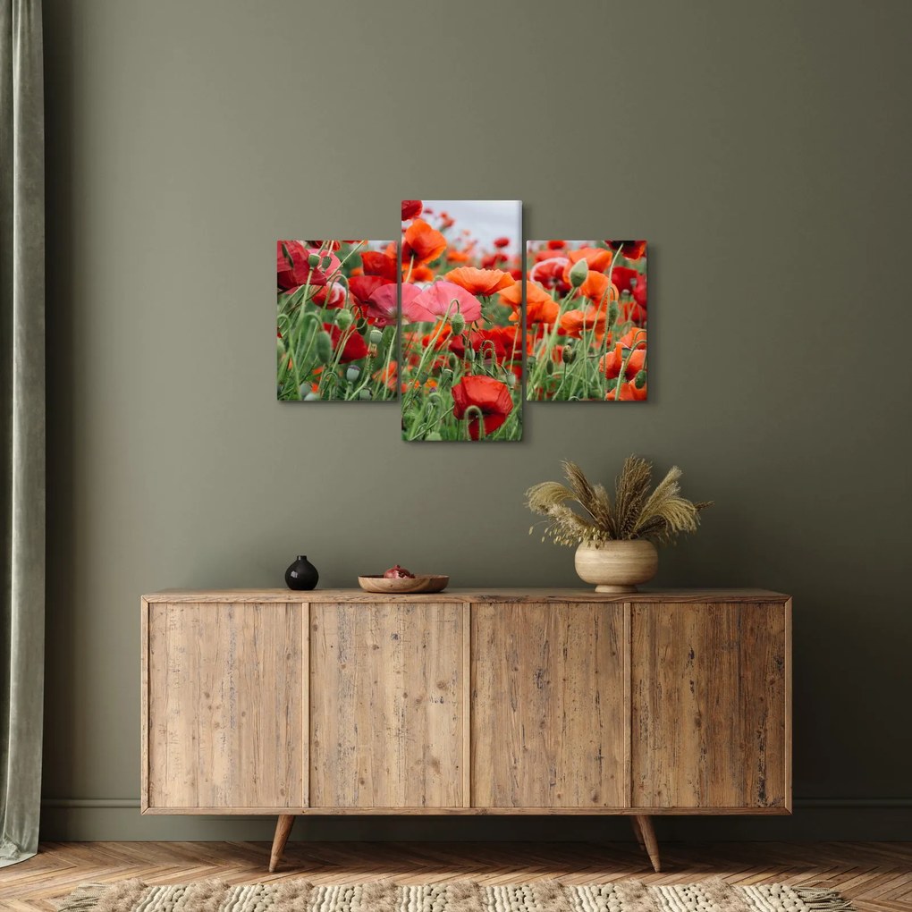 Tablou din câmp cu maci (90x60 cm)