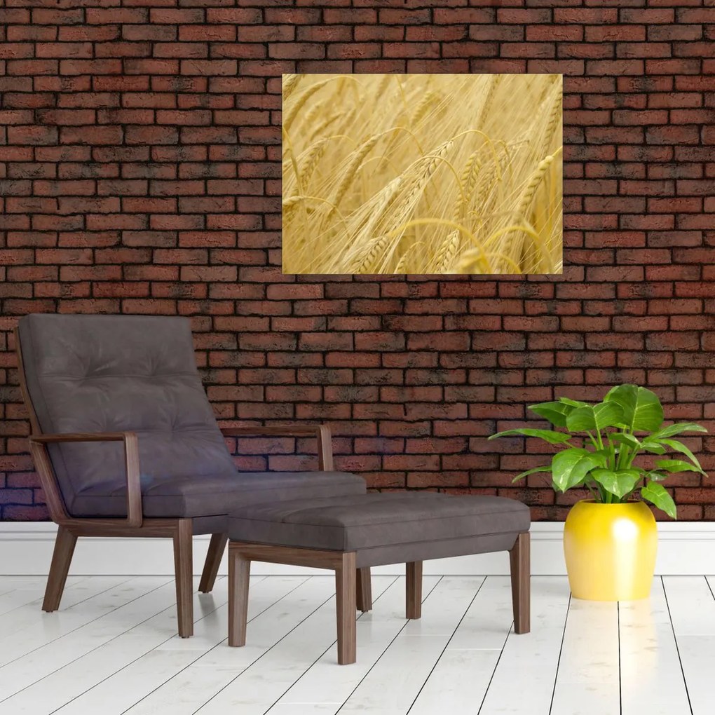 Tablou - Orz (70x50 cm)