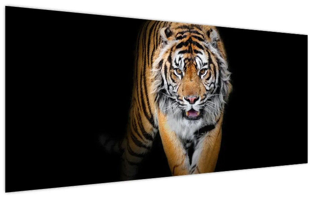 Tablou - Tiger (120x50 cm)