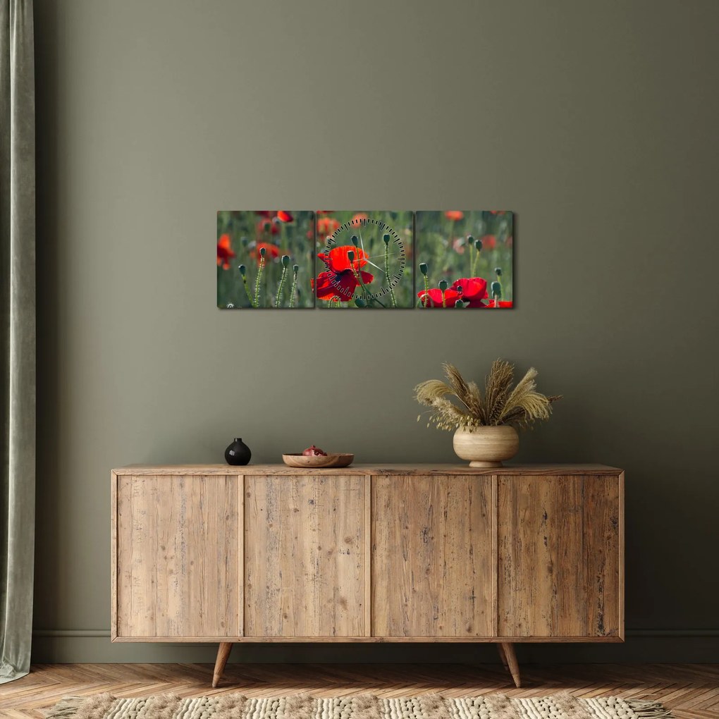 Tablou - Lunca cu maci (cu ceas) (90x30 cm)
