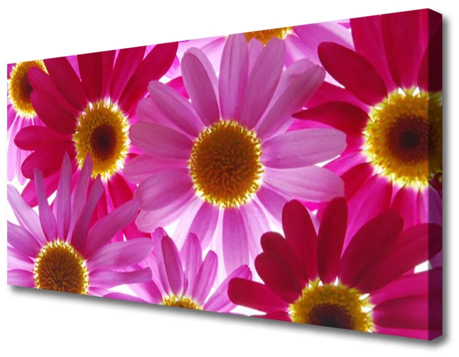 Tablou pe panza canvas Flori Floral galben roz