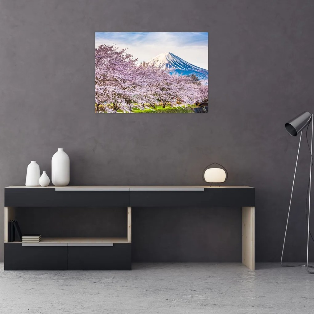 Tablou pe sticlă - Japonia în primăvară (70x50 cm)