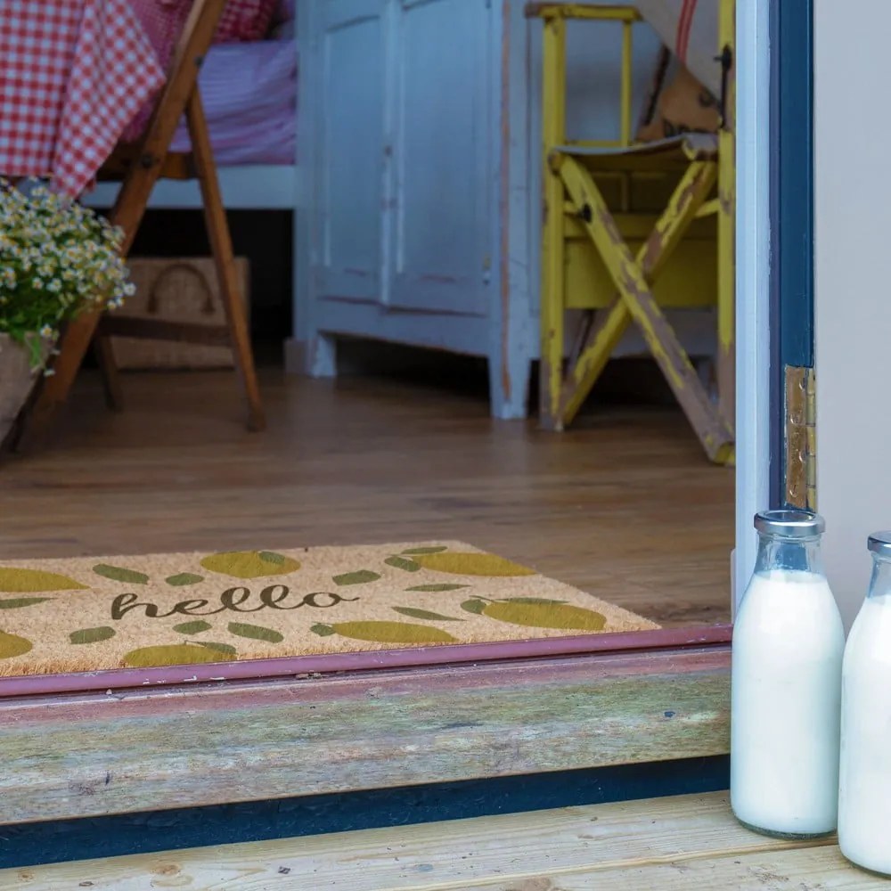 Covoraș de intrare din fibre de nucă de cocos 40x60 cm Hello Lemons – Artsy Doormats