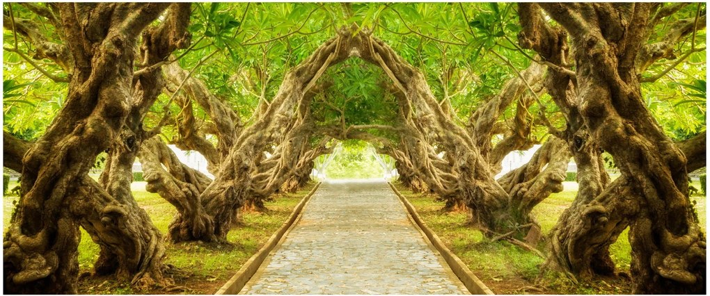 Tablou - Tunel viu din plumeria (120x50 cm)