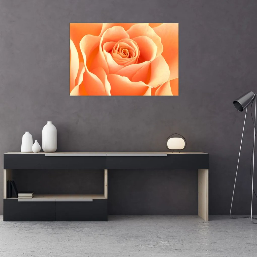 Tablou - Imaginea- Trandafiri, culoarea caisei (90x60 cm)