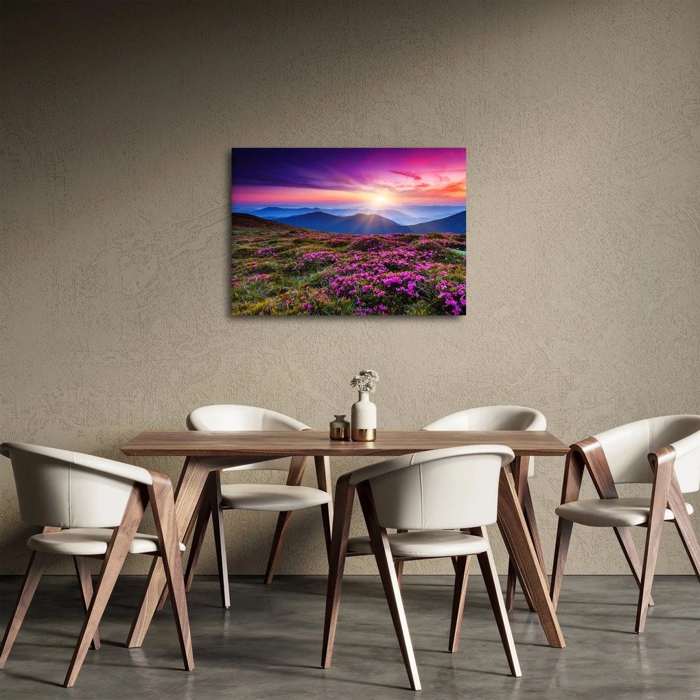 Tablou - Munte înflorit peisaj (70x50 cm)