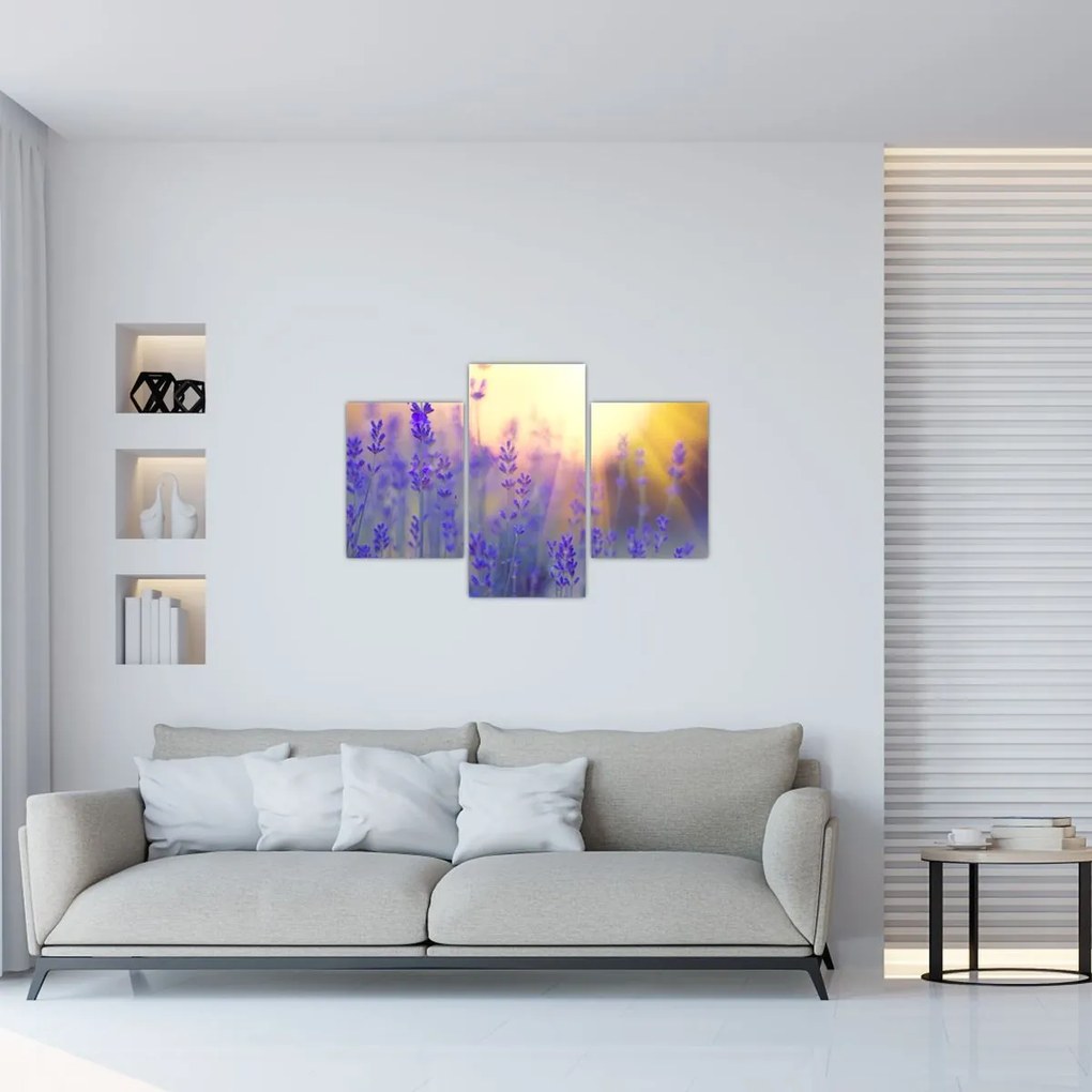 Tablou - Levănțică (90x60 cm)