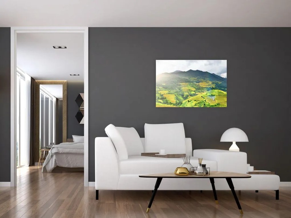 Tablou plantație (90x60 cm)