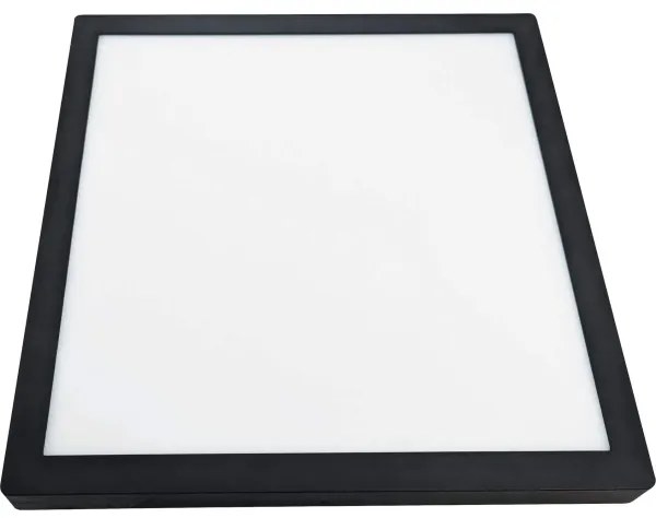 Plafonieră LED FENIX LED/32W/230V 3800K 40 cm