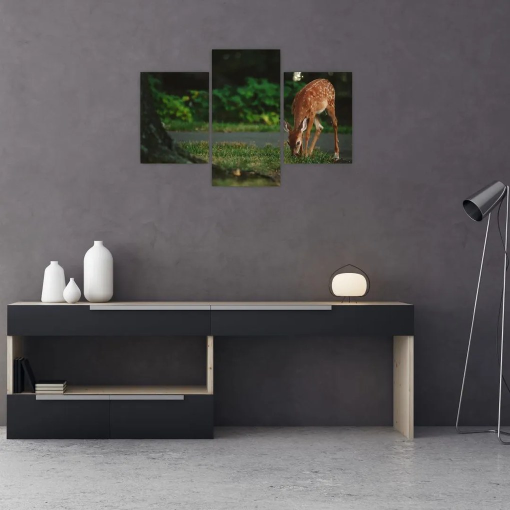 Tablou cu pui de cerb (90x60 cm)