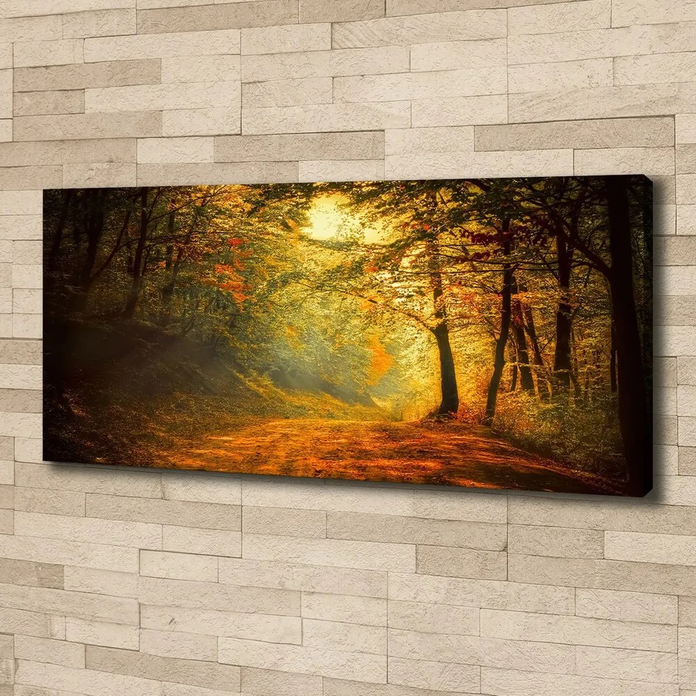 Imprimare tablou canvas Pădure în toamna