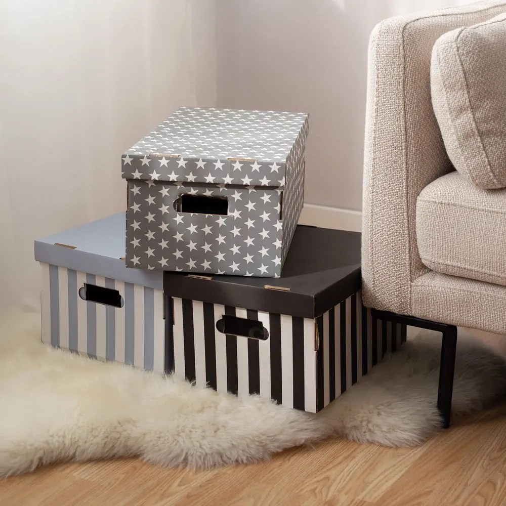 Cutii de depozitare din carton cu capac 2 buc. Stripes – Compactor