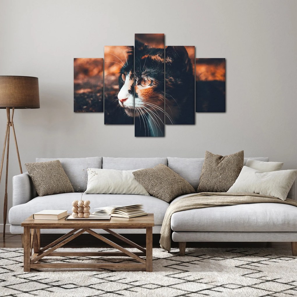 Tablou - Privirea pisicii (150x105 cm)