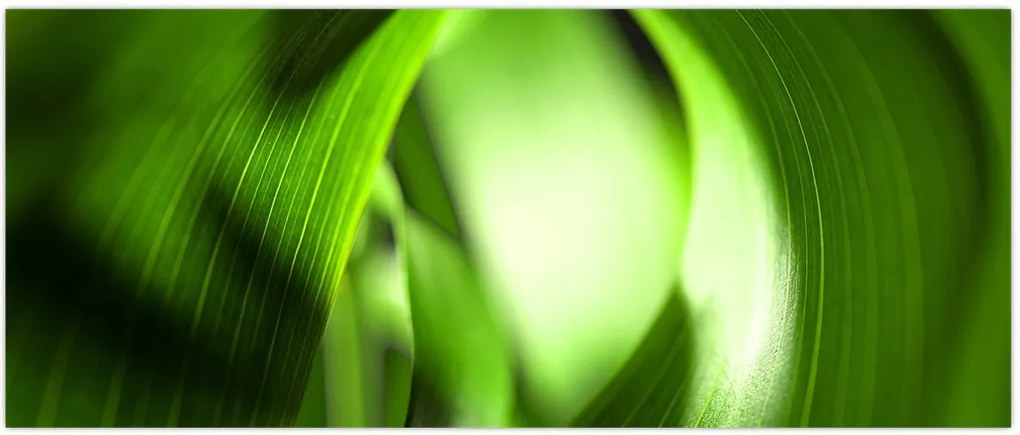 Tablou - Un fir de iarbă (120x50 cm)