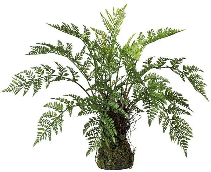 Planta artificiala Feriga 50x60 cm