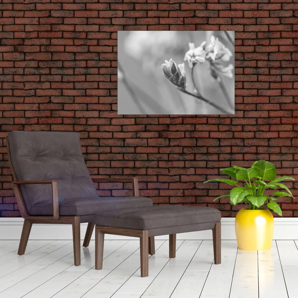 Tablou pe sticlă - Floare înflorită (70x50 cm)