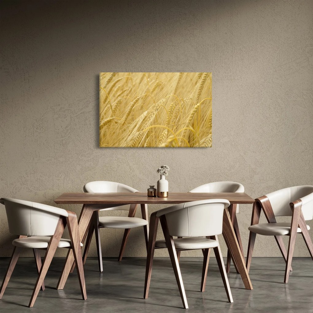 Tablou - Orz (90x60 cm)