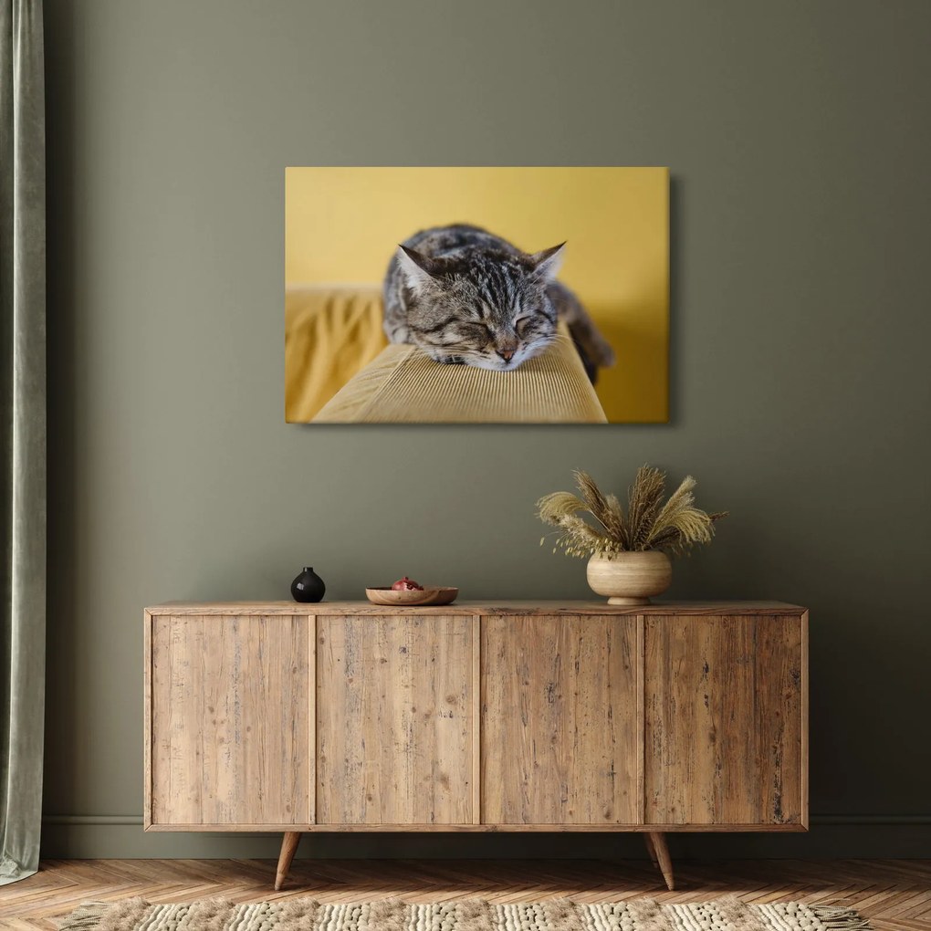Tablou cu pisica pe fotoliu (90x60 cm)