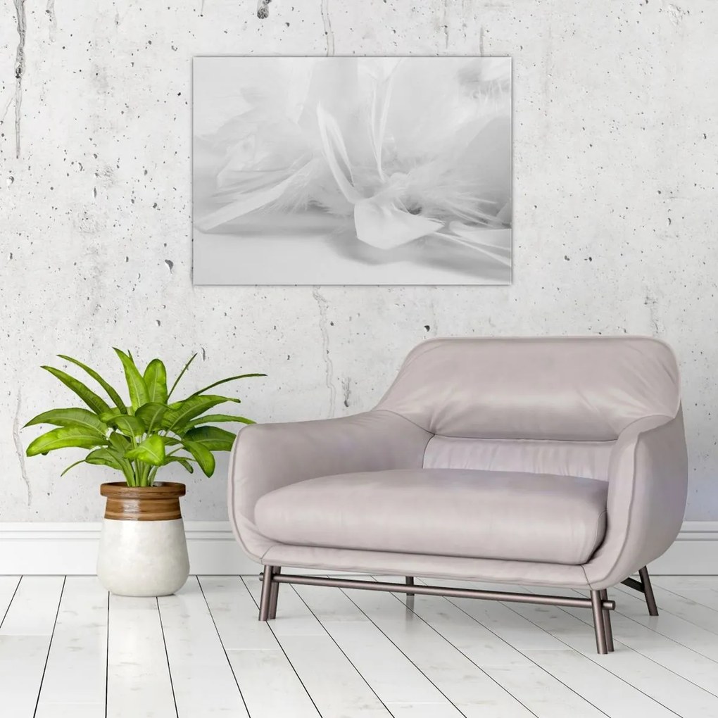 Tablou pe sticlă - Pene (70x50 cm)