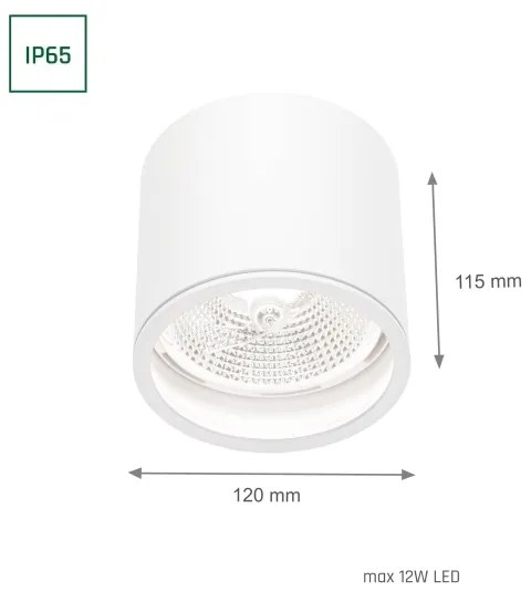 Spot pentru baie CHLOE AR111 1xGU10/12W/230V IP65 alb rotund