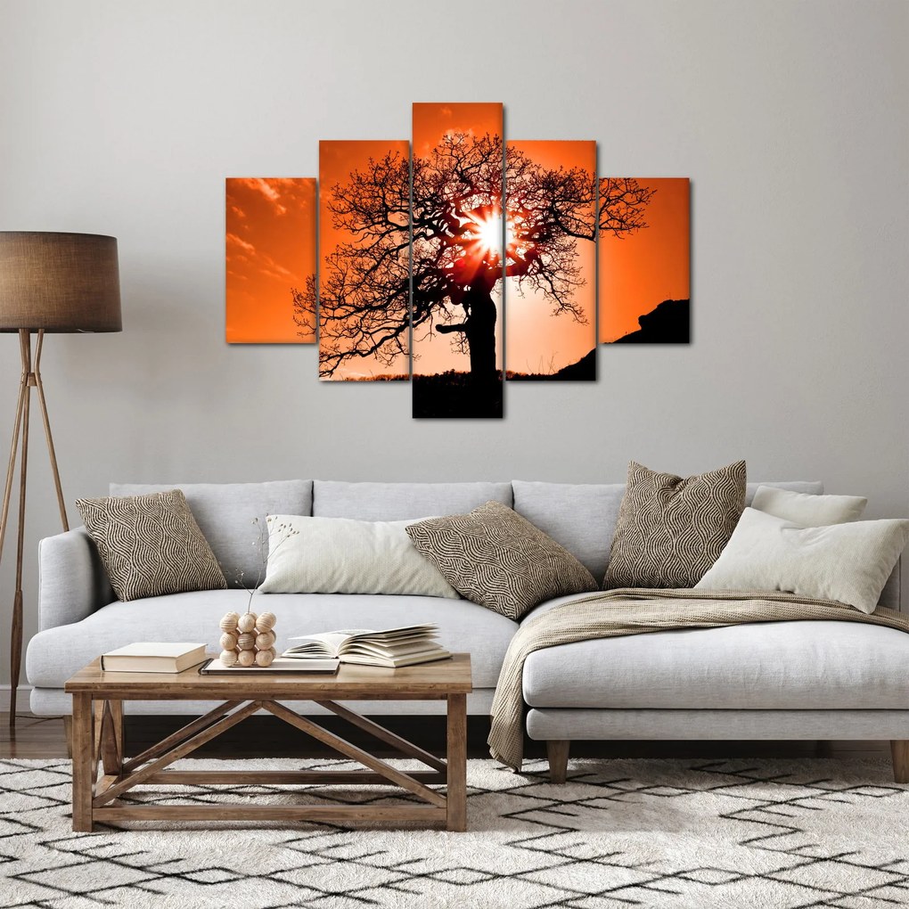 Tablou - Fag la apus de soare (150x105 cm)
