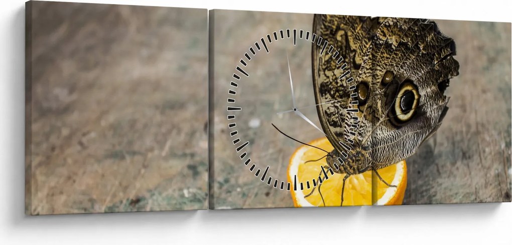 Tablou cu fluturi (cu ceas) (90x30 cm)
