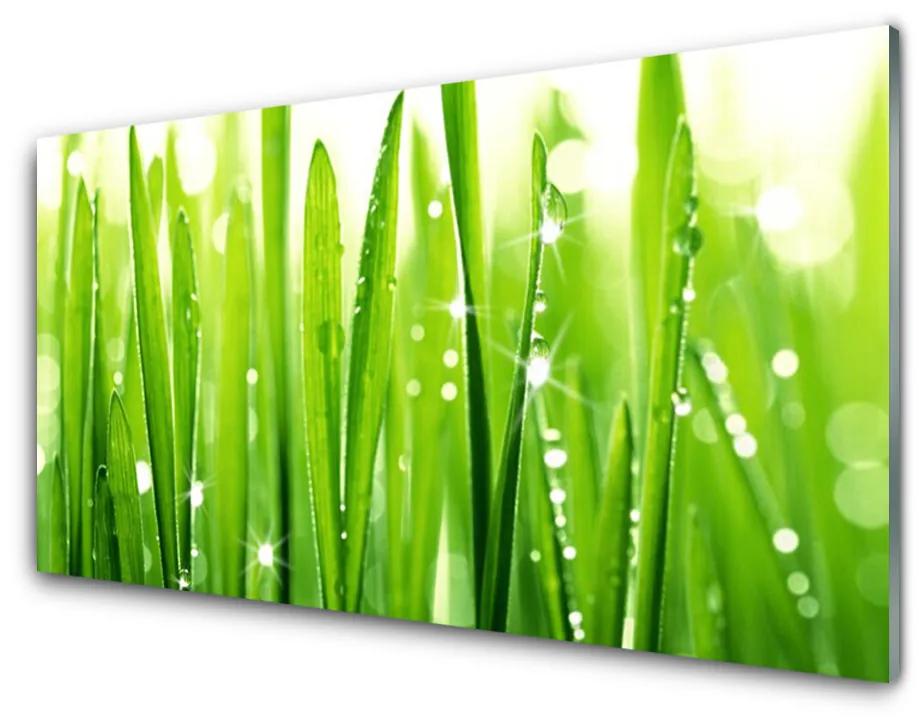 Tablou pe sticla acrilica Iarbă verde florale