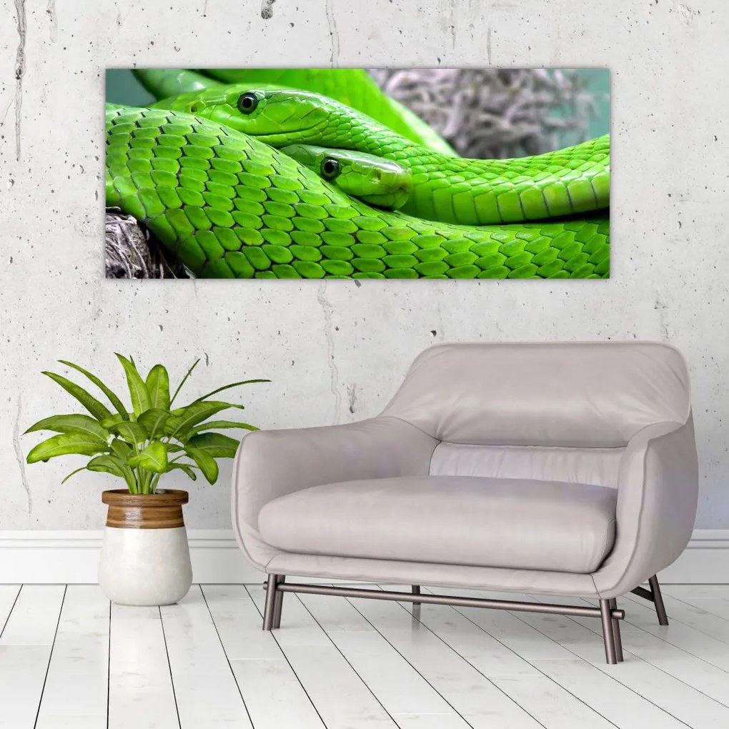 Tablou cu șerpi verzi (120x50 cm)