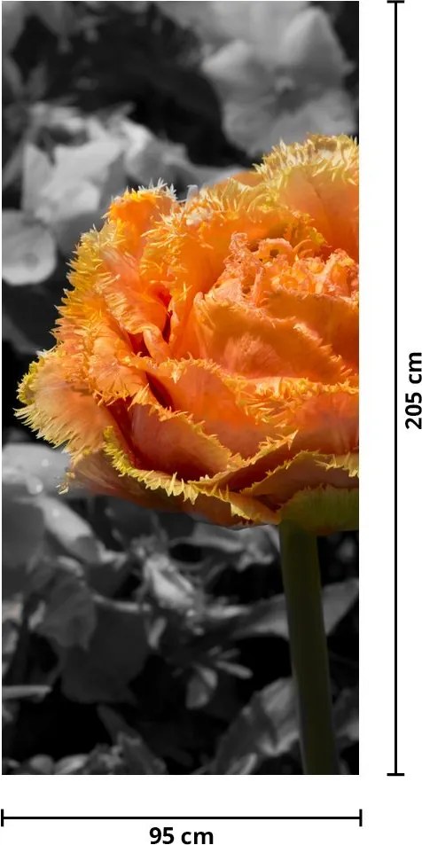 Fototapet pentru ușă - Floare (95x205cm)