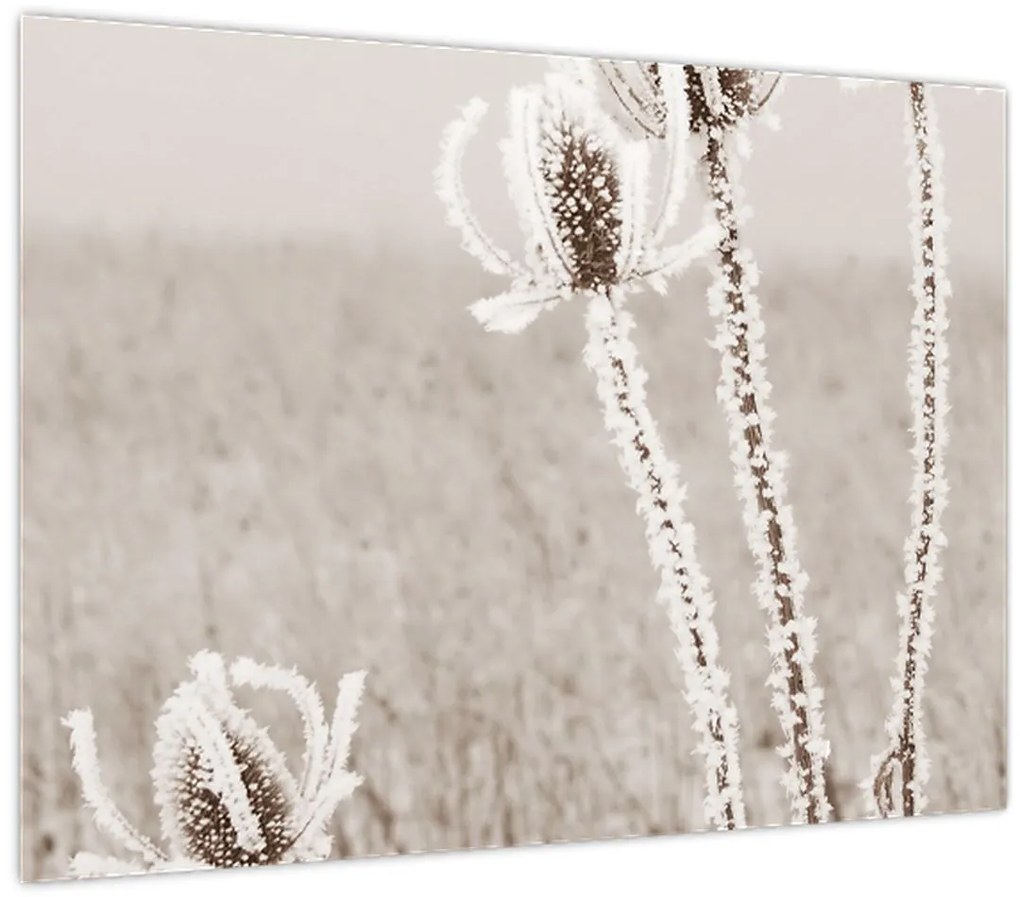 Tablou - Ciulinul în timpul iernii (70x50 cm)