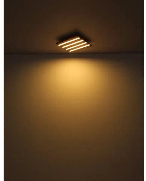 Globo 67347D1 - Plafonieră LED HAYDEN LED/15W/230V 3000K 30x30 cm