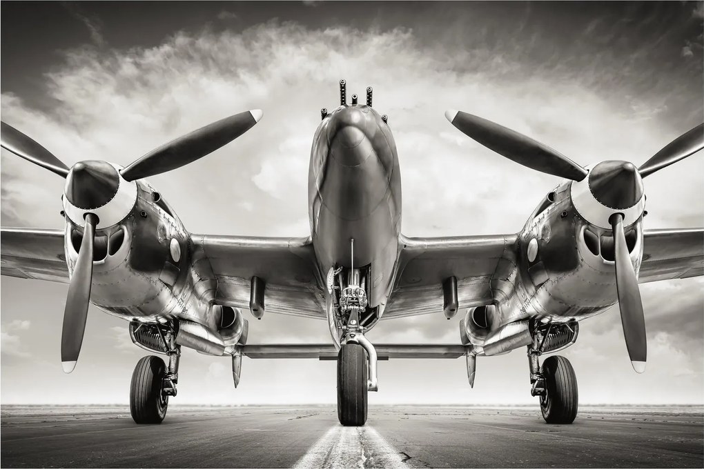 Tablou - Warbird (90x60 cm)
