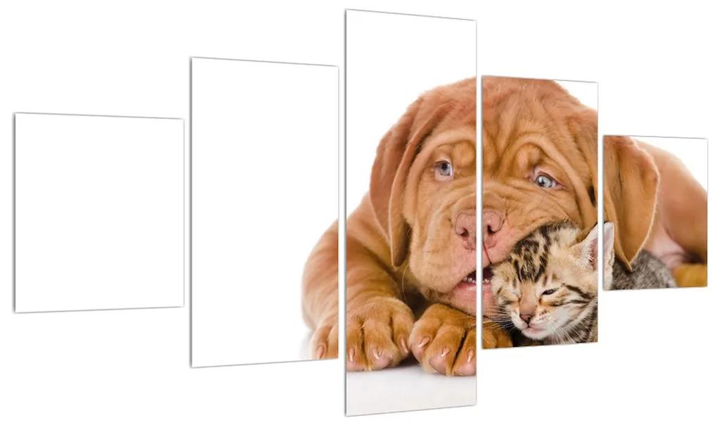 Tablou câinele cu pisicuța (125x70 cm), în 40 de alte dimensiuni noi
