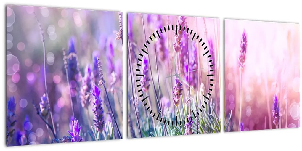 Tablou - Lavandă în strălucirea soarelui (cu ceas) (90x30 cm)