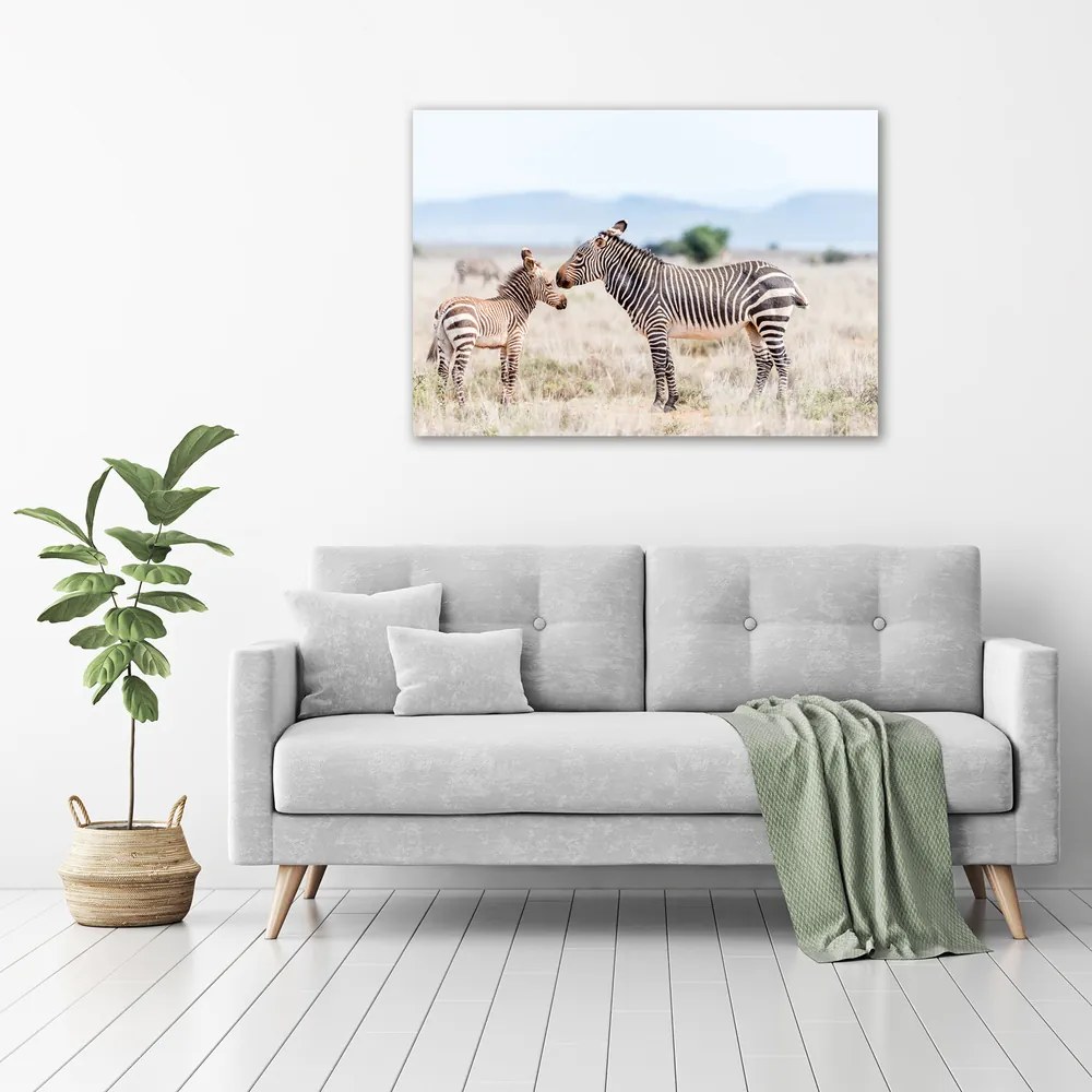 Tablou pe pânză canvas Zebre în munți